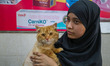 A girl holds her Persian pet cat before it receives a rabies vaccination on World Veterina...