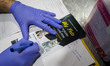 A veterinarian writes the name of a Persian pet cat on a prescription before it receives a...