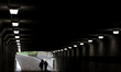 A thoroughbred racehorse is walked through a tunnel on its way to the paddock before the s...