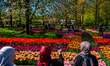 Tulips bloom in vibrant hues at Keukenhof, one of the world's largest flower gardens, in L...