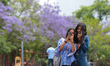 Nepali women take photos against the backdrop of blooming Jacarandas in Kathmandu, Nepal,...