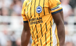 Danny Welbeck of Brighton & Hove Albion during the Premier League match between Newcastle...