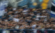 Persib Bandung supporters attend the Persib Bandung vs PSIM Yogyakarta match in the 2025-2...