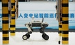 A quadruped intelligent robot, also known as a robot dog, undergoes adaptive training on t...