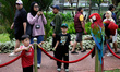 Children observe macaw parrots during the launch of the International Animal Photo & Video...