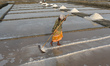 Salt pan workers harvest salt from an evaporation pond in the coastal town of Isakapalle,...
