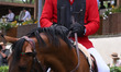 Patricio Pasquel of Mexico and Chakkalou PS compete in the jump-off against Germany during...