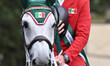 Carlos Hank Guerreiro of Mexico and H5 Shaq Attack with the Mexico Team win the 93rd CSIO...