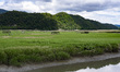 Visitors walk along a wooden boardwalk through Suncheon Bay Wetland in Suncheon, South Kor...