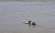 A local resident uses a traditional mud sled, known as a "ppalbae," to move across the tid...
