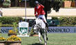 Piergiorgio Bucci of Italy and Pallieter VD N. Ranch compete during the 93rd CSIO Roma 202...