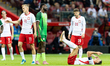 Karol Swiderski, Wilfred Ndidi, Sebastian Szymanski, Robert Lewandowski during Poland vs N...