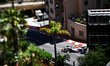 #41 Arvid Lindblad of the Team Visa Cash App Racing Bulls Formula One Team Red Bull Ford V...