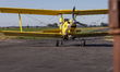 An agricultural aviation outfitted biplane flies over rice fields in Marysville, Californi...