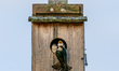 Young tree swallow nestlings are fed in their nest at the Oxbow Nature Conservancy in Lawr...