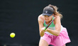 Jesika Maleckova competes during the quarterfinal doubles match at the 2026 Lexus Nottingh...