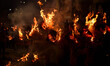Nepali devotees light haystacks and carry straw torches as they participate in the process...