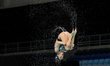 Team Canada competes in the Team Free Final during the World Aquatics Artistic Swimming Wo...
