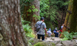 NACHIKATSUURA, JAPAN - JUNE 19: 
A group of tourists and spiritual pilgrims, viewed from...
