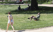 People enjoy the shadow in the park while others are sunbathing during the heatwave in Bru...