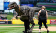 Luci the Velociraptor throws out the first pitch before a Minor League Baseball game at Co...
