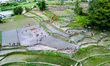 Farmers celebrate National Paddy Day by planting rice seedlings, singing, and playing in t...