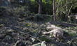 A Russian aerial operation results in at least one death and injuries to more than 29 peop...