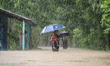 A man carrying a young child wades through a flooded road under an umbrella during heavy r...