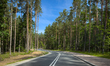 A narrow asphalt road runs through a forest between Babi Dol and Borowo in Kashubia, Polan...