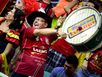 Spain's fan celebrates Xabi Alonso's goal, in the penalty kick, to score 1-0 Spain over Netherlands in Salvador, for the #3 match of the 201...
