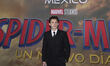 Tom Holland attends the red carpet for Spider-Man: A New Day at the Aztlan Chapultepec Fai...