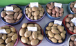 Varieties type of  Potato displayed in the food fair in Dhaka, Bangladesh.On October 16, 2...