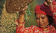 A woman separates rice grains from the glumes, or husks using a traditional winnowing meth...
