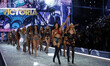 Adriana Lima and Elsa Hosk walks the runway 2016 Victoria's Secret Fashion Show at the Gra...