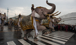  Elephants pay respects to the late King Bhumibol Adulyadej in front of the Grand Palace B...