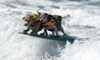 Dogs compete in a surfing competition during the 11th annual Helen Woodward Animal Center’...