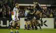 Connacht players celebrate after Jack Carty score in last minutes of the match during the...