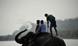 Nepalese people enjoying elephant shower at Sauhara, Chitwan, Nepal on Tuesday, December 2...