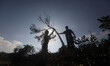 Palestinian children inspect the damage after an Israeli air strike in Gaza City, on July...