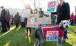 Demonstrators during the Women's March in Amsterdam on 21January 2017 in supporting the Wa...