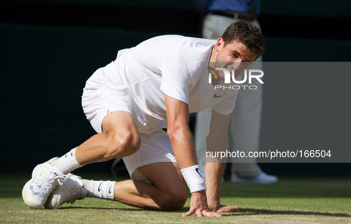 Grigor Dimitrov fell on the centre court during his semi final match against Novak Djokovic