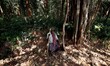 Villagers those are in the old age group look on the corridor of the Koska forest as they...