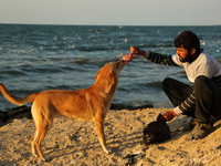 A Palestinian man It provides food for the dog in Gaza City, on March 5, 2017.
 (