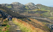 A general view of a part of Bray-Greystones cliff walk with a view of Bray Head in the bac...