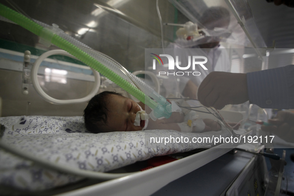 Palestinian baby girl Shayma Shiekh al-Eid lies in an incubator after doctors delivered her from the womb of her mother, whom medics said wa...