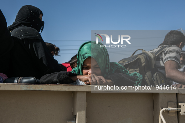 A child rests her head on the side of one of the many Iraqi army trucks that are being used to transport the large amount of fleeing civilia...