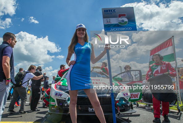 Norbert Michelisz of Hungary and Honda Racing Team JAS motorsport driver on the grid before the race on the Hungarian WTCC Grand Prix race d...