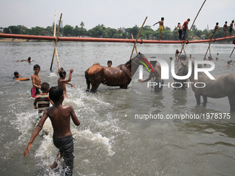 A man is bathing horses on the Buriganga River during the hot weather in Dhaka, Bangladesh, on May 24, 2017.  (