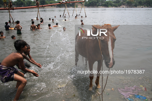 Boys are bathing a horse on the Buriganga River during the hot weather in Dhaka, Bangladesh, on May 24, 2017.  