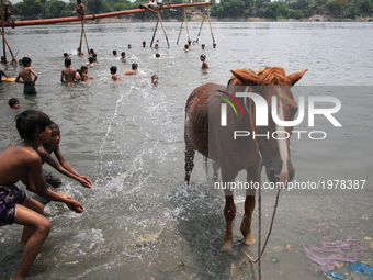 Boys are bathing a horse on the Buriganga River during the hot weather in Dhaka, Bangladesh, on May 24, 2017.  (
